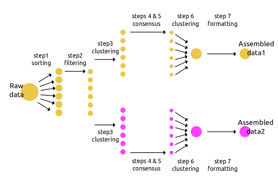 _images/steps_branching.png